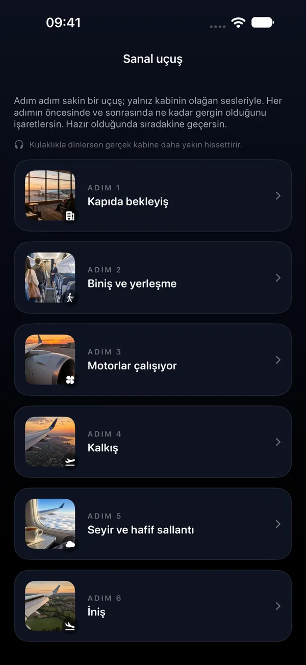 Sanal uçuş: Uçuşu kapıdan inişe adım adım, gerçek kabin sesleriyle prova et.
