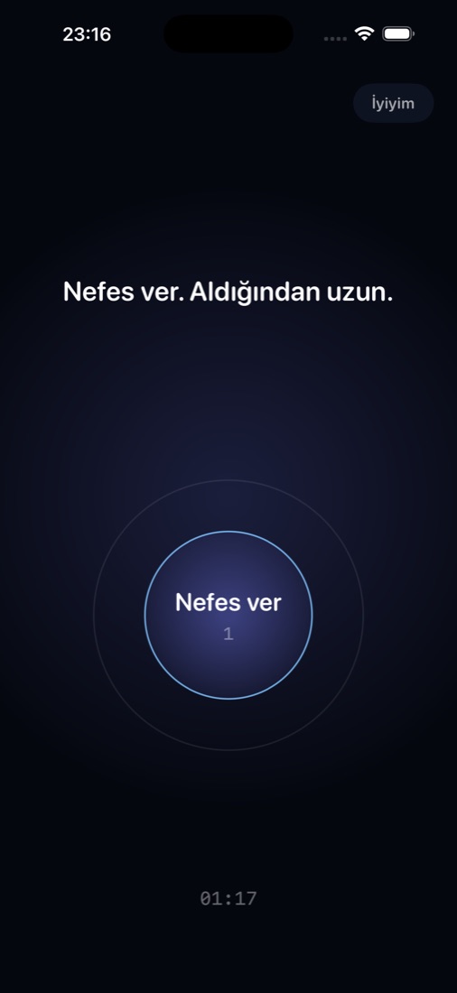 Panik anı desteği