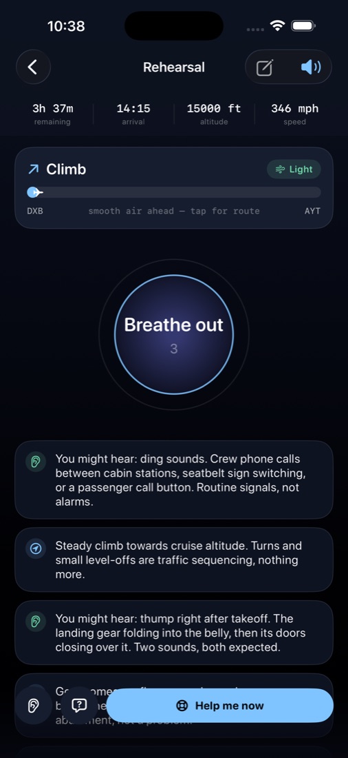 Live companion screen