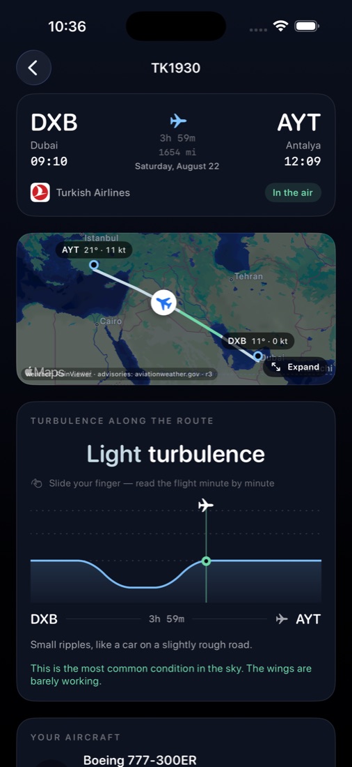Flight report and turbulence chart